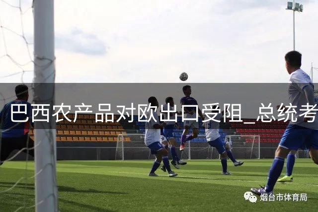 巴西农产品对欧出口受阻 总统考虑贸易反制措施